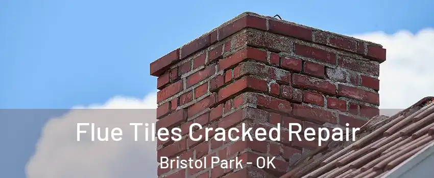 Flue Tiles Cracked Repair Bristol Park - OK