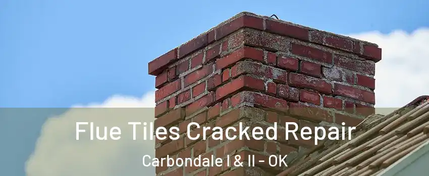 Flue Tiles Cracked Repair Carbondale I & II - OK