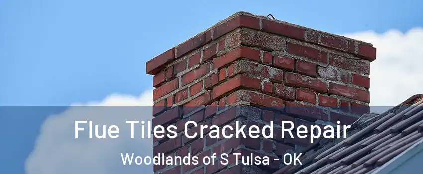 Flue Tiles Cracked Repair Woodlands of S Tulsa - OK