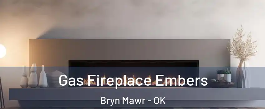 Gas Fireplace Embers Bryn Mawr - OK
