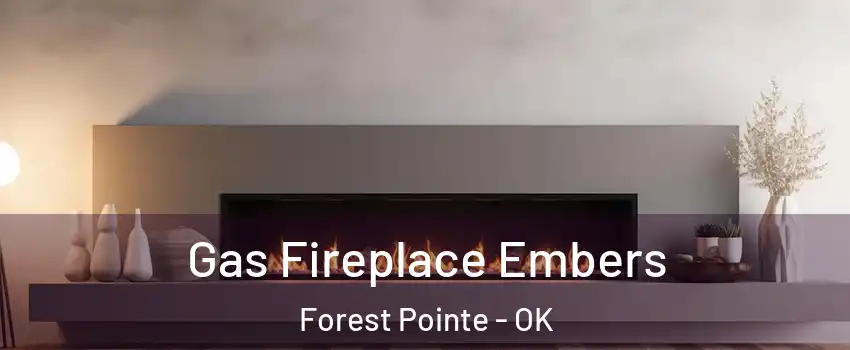 Gas Fireplace Embers Forest Pointe - OK