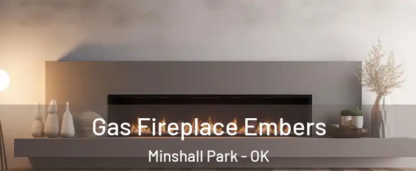 Gas Fireplace Embers Minshall Park - OK