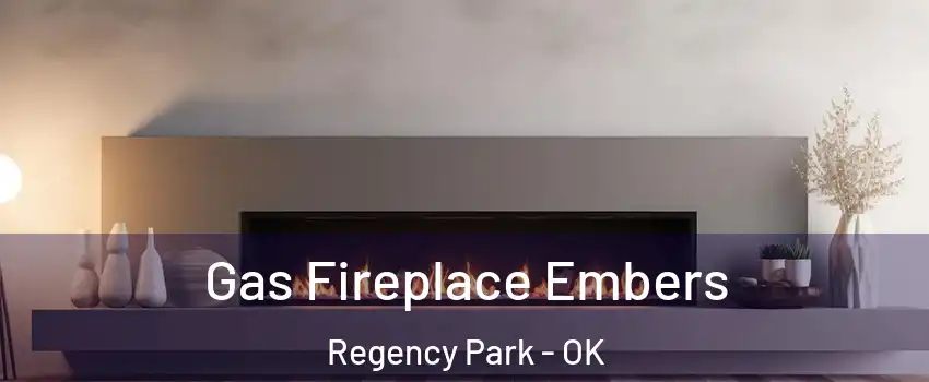 Gas Fireplace Embers Regency Park - OK