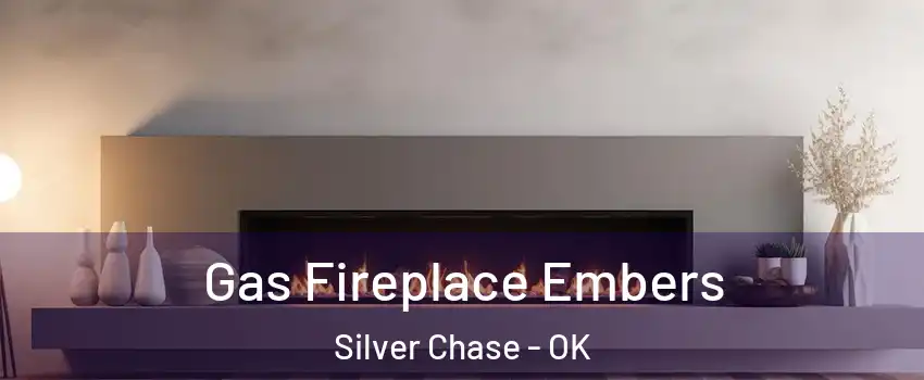 Gas Fireplace Embers Silver Chase - OK