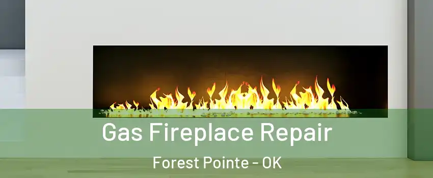 Gas Fireplace Repair Forest Pointe - OK
