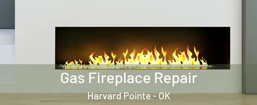 Gas Fireplace Repair Harvard Pointe - OK