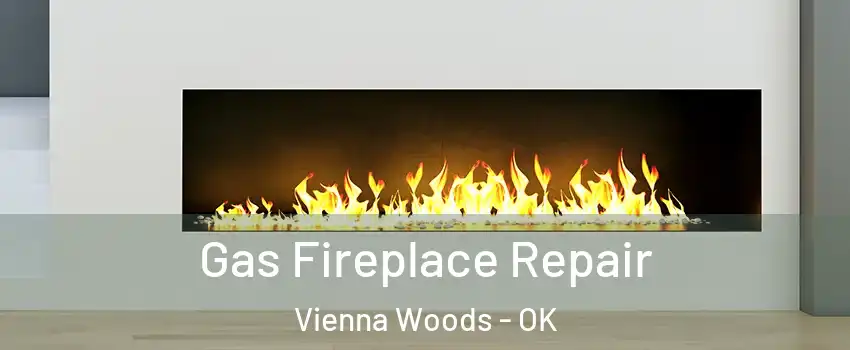Gas Fireplace Repair Vienna Woods - OK