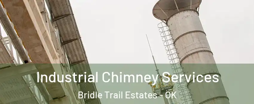 Industrial Chimney Services Bridle Trail Estates - OK