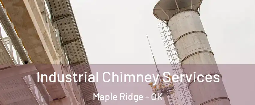 Industrial Chimney Services Maple Ridge - OK