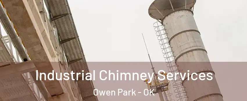 Industrial Chimney Services Owen Park - OK