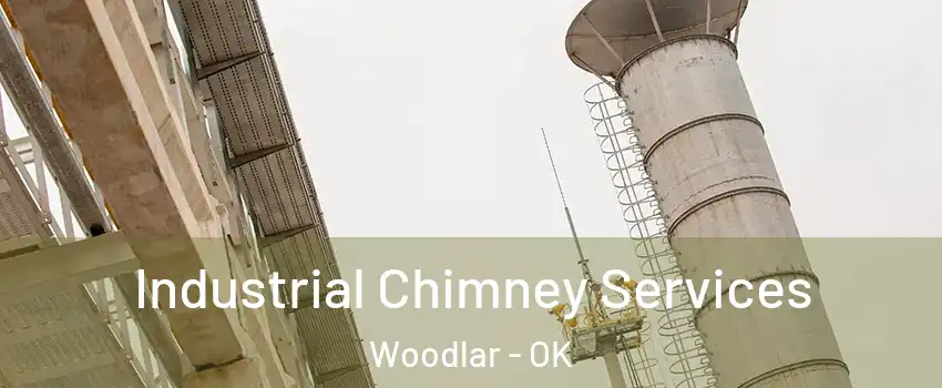 Industrial Chimney Services Woodlar - OK