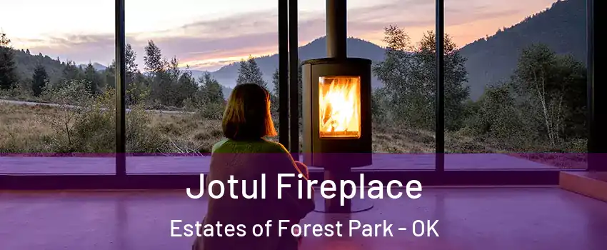 Jotul Fireplace Estates of Forest Park - OK