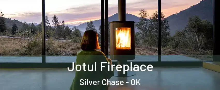 Jotul Fireplace Silver Chase - OK