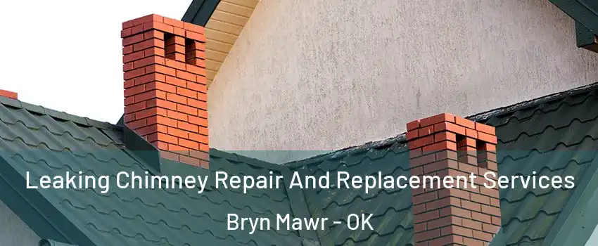 Leaking Chimney Repair And Replacement Services Bryn Mawr - OK
