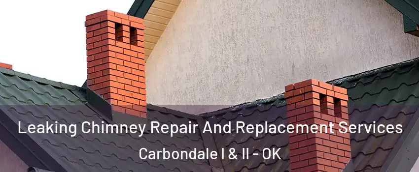Leaking Chimney Repair And Replacement Services Carbondale I & II - OK