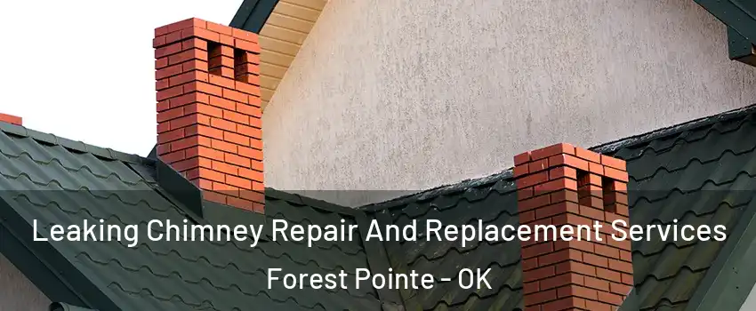 Leaking Chimney Repair And Replacement Services Forest Pointe - OK