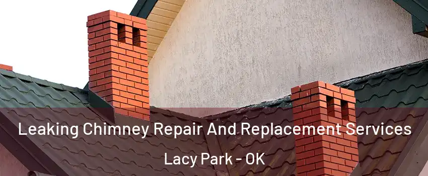 Leaking Chimney Repair And Replacement Services Lacy Park - OK