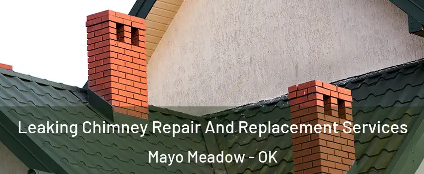 Leaking Chimney Repair And Replacement Services Mayo Meadow - OK