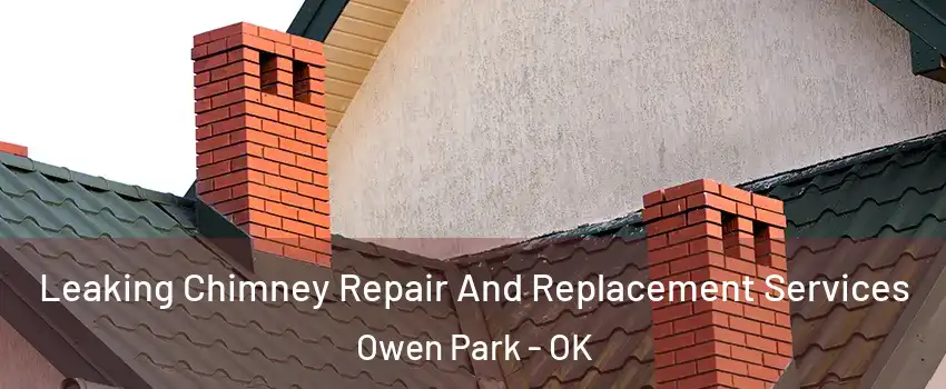 Leaking Chimney Repair And Replacement Services Owen Park - OK