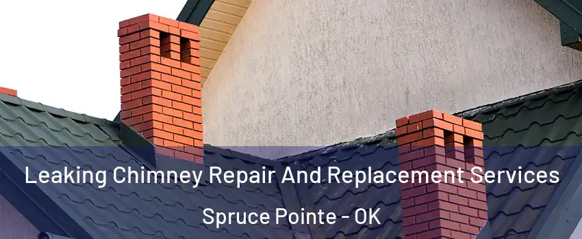 Leaking Chimney Repair And Replacement Services Spruce Pointe - OK