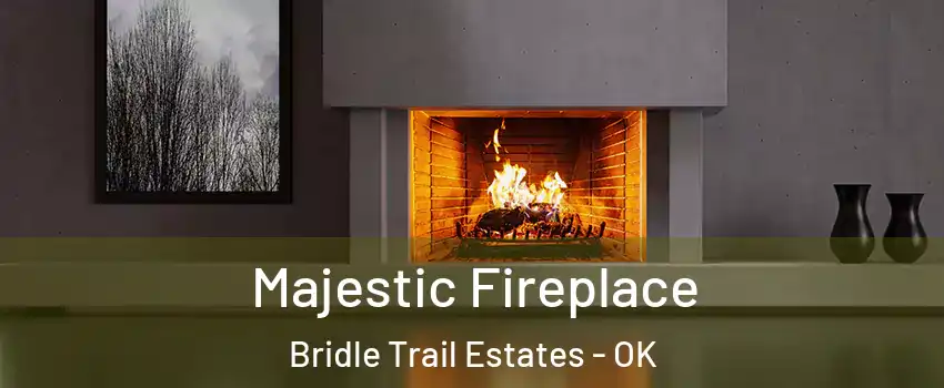 Majestic Fireplace Bridle Trail Estates - OK