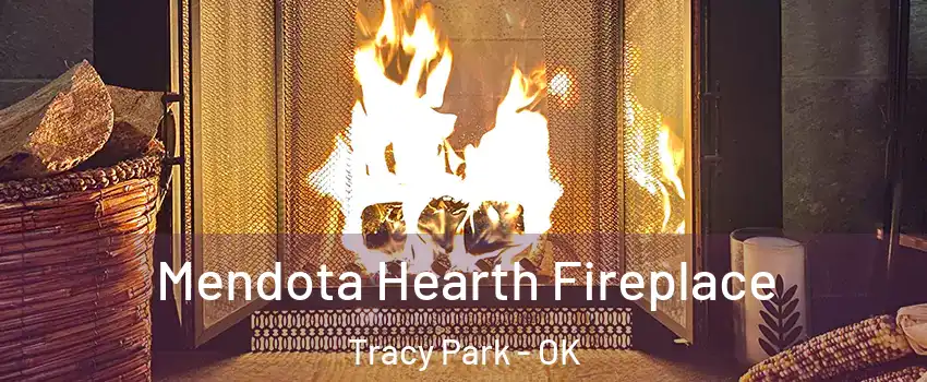 Mendota Hearth Fireplace Tracy Park - OK