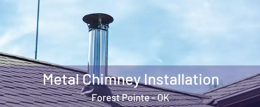Metal Chimney Installation Forest Pointe - OK