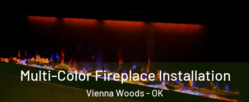 Multi-Color Fireplace Installation Vienna Woods - OK