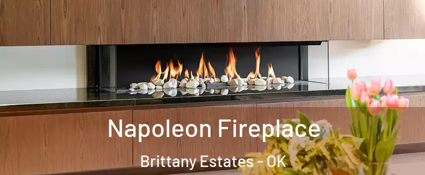 Napoleon Fireplace Brittany Estates - OK