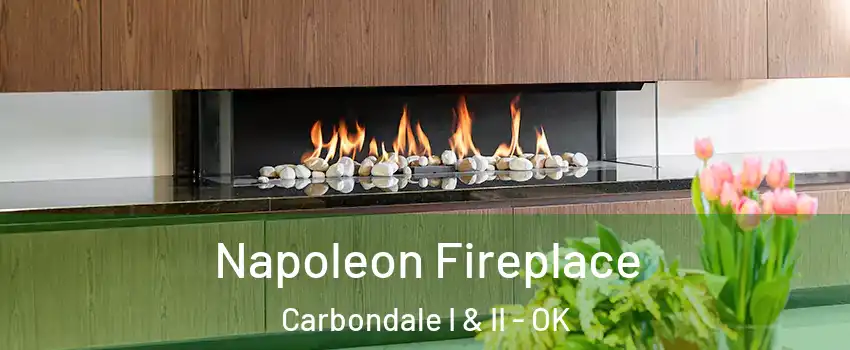 Napoleon Fireplace Carbondale I & II - OK