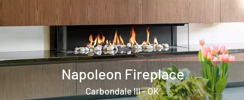 Napoleon Fireplace Carbondale III - OK