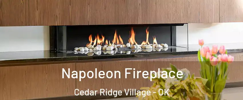 Napoleon Fireplace Cedar Ridge Village - OK