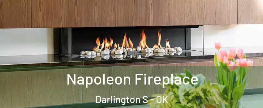 Napoleon Fireplace Darlington S - OK