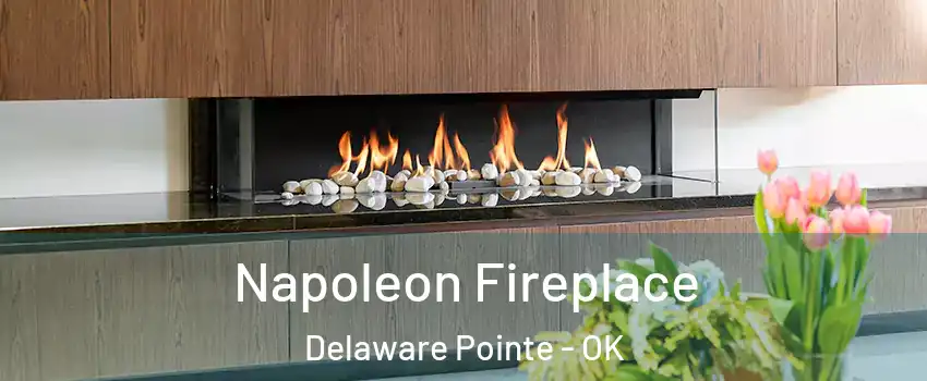 Napoleon Fireplace Delaware Pointe - OK