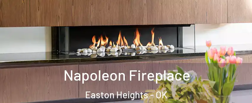 Napoleon Fireplace Easton Heights - OK