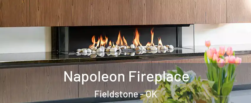 Napoleon Fireplace Fieldstone - OK