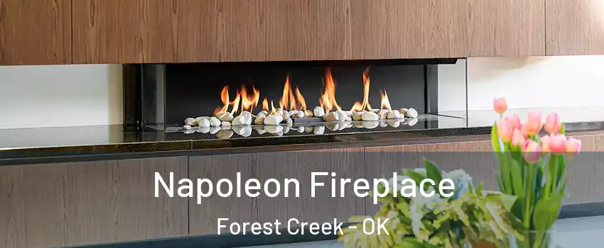 Napoleon Fireplace Forest Creek - OK