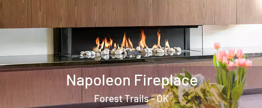 Napoleon Fireplace Forest Trails - OK
