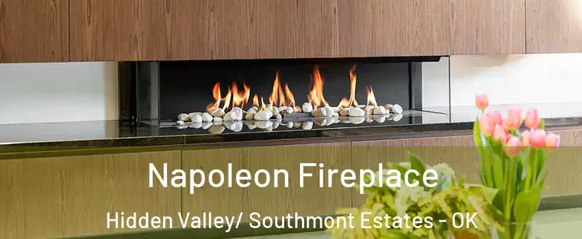 Napoleon Fireplace Hidden Valley/ Southmont Estates - OK