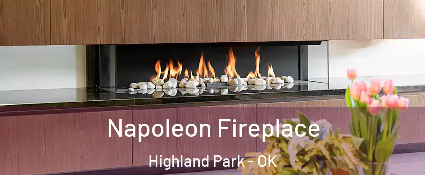 Napoleon Fireplace Highland Park - OK