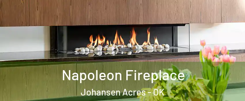 Napoleon Fireplace Johansen Acres - OK