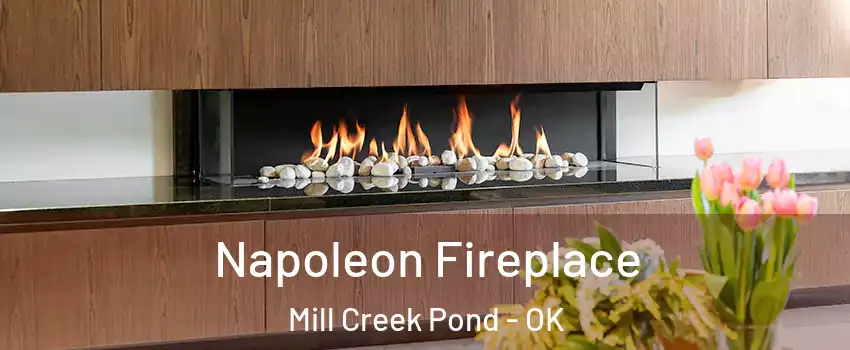 Napoleon Fireplace Mill Creek Pond - OK