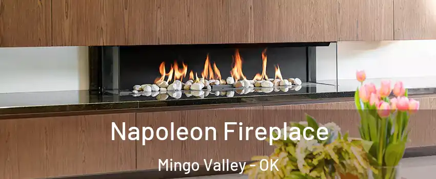 Napoleon Fireplace Mingo Valley - OK