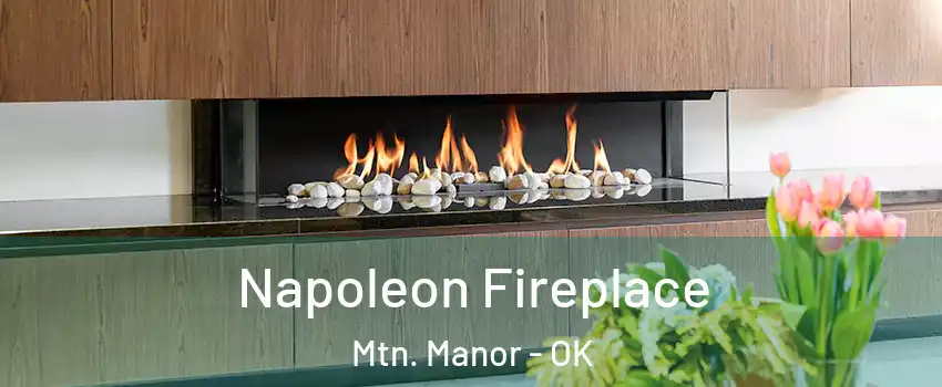 Napoleon Fireplace Mtn. Manor - OK