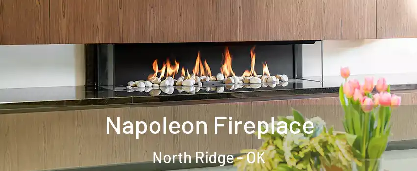 Napoleon Fireplace North Ridge - OK