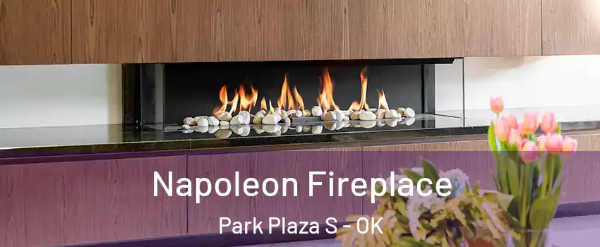 Napoleon Fireplace Park Plaza S - OK