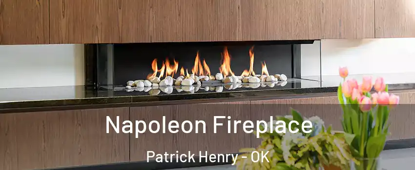 Napoleon Fireplace Patrick Henry - OK