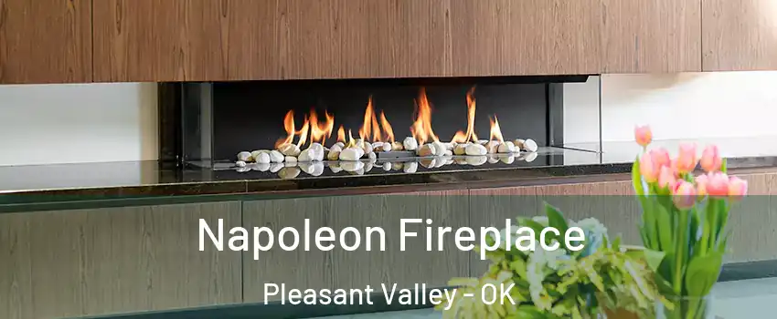 Napoleon Fireplace Pleasant Valley - OK