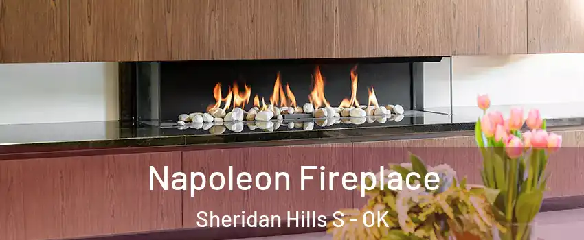 Napoleon Fireplace Sheridan Hills S - OK
