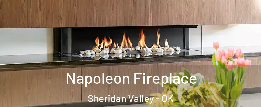 Napoleon Fireplace Sheridan Valley - OK